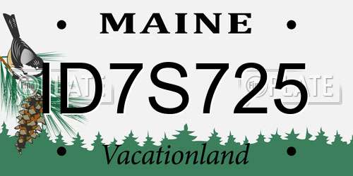 ID7S725 Maine License Plate