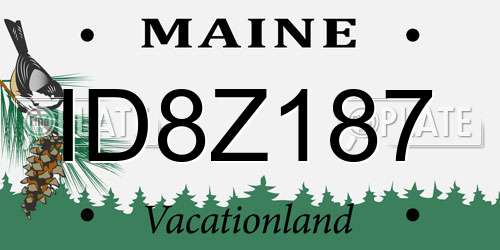 ID8Z187 Maine License Plate