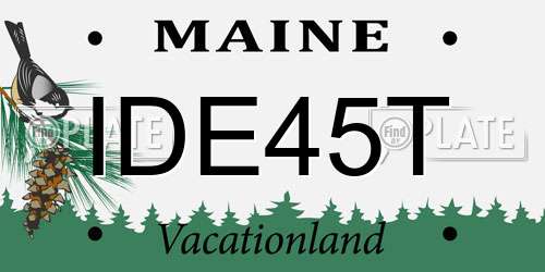 IDE45T Maine License Plate