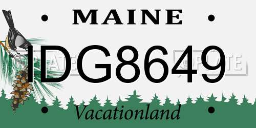 IDG8649 Maine License Plate