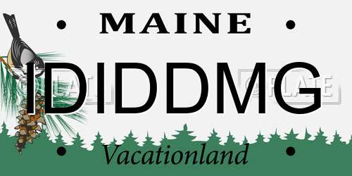 IDIDDMG Maine License Plate