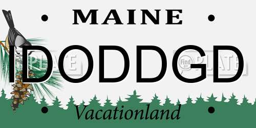 IDODDGD Maine License Plate