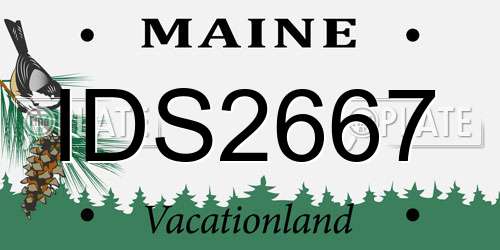 IDS2667 Maine License Plate