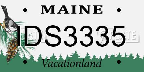 IDS3335 Maine License Plate