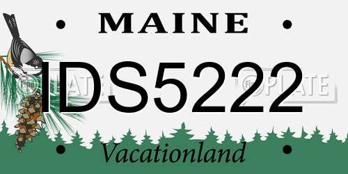 IDS5222 Maine License Plate