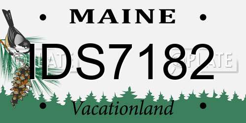 IDS7182 Maine License Plate