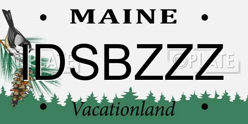 IDSBZZZ Maine License Plate
