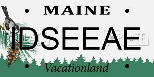 IDSEEAE Maine License Plate
