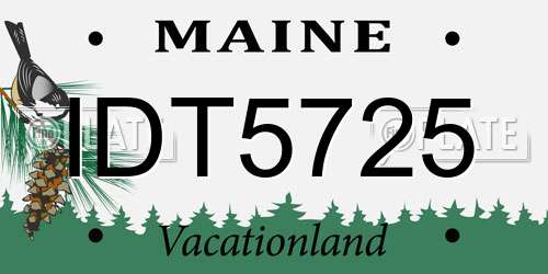 IDT5725 Maine License Plate