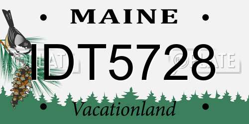 IDT5728 Maine License Plate