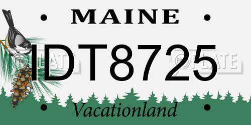 IDT8725 Maine License Plate