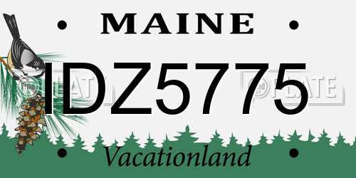 IDZ5775 Maine License Plate
