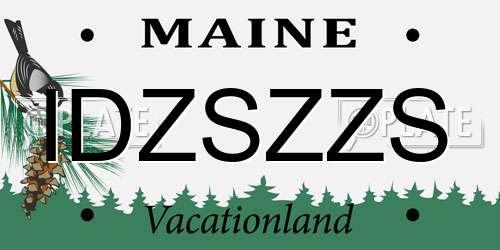 IDZSZZS Maine License Plate