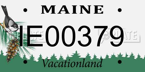IE00379 Maine License Plate