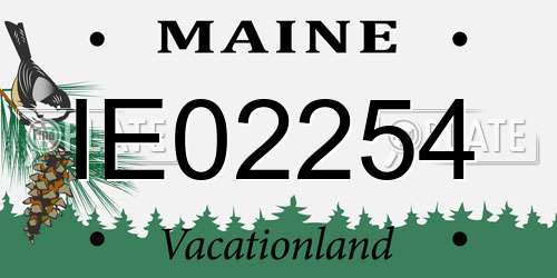 IE02254 Maine License Plate