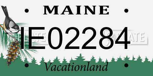 IE02284 Maine License Plate