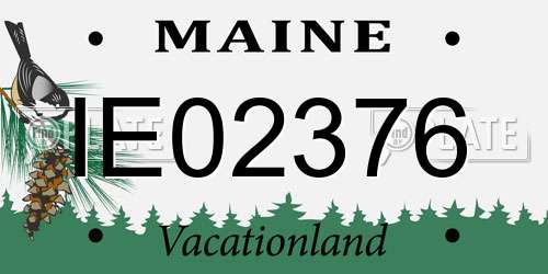IE02376 Maine License Plate