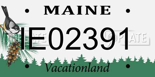 IE02391 Maine License Plate