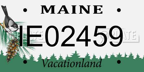 IE02459 Maine License Plate