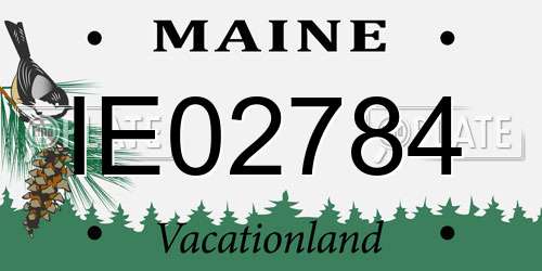 IE02784 Maine License Plate
