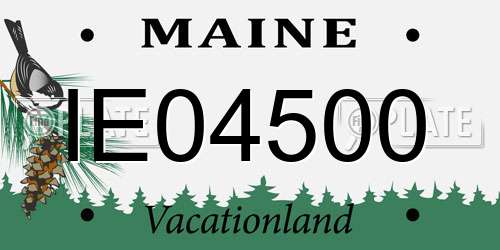 IE04500 Maine License Plate