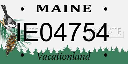 IE04754 Maine License Plate