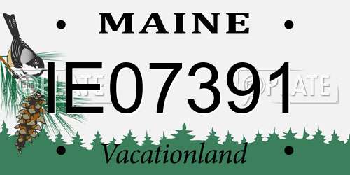 IE07391 Maine License Plate