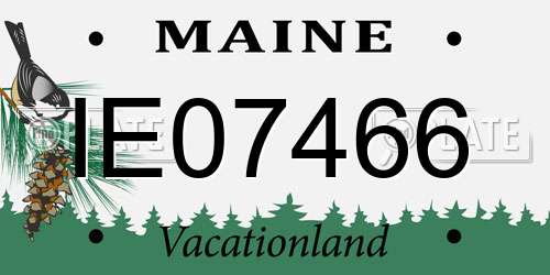 IE07466 Maine License Plate