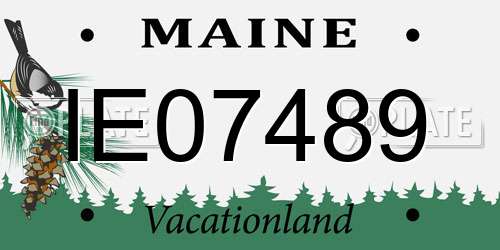 IE07489 Maine License Plate