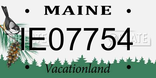 IE07754 Maine License Plate