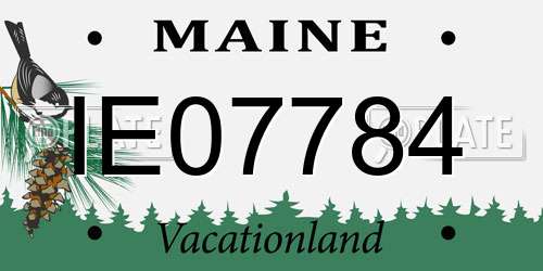 IE07784 Maine License Plate