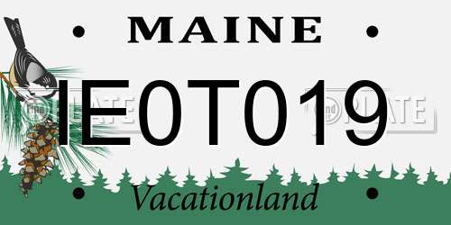 IE0T019 Maine License Plate