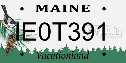 IE0T391 Maine License Plate