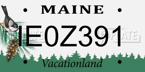 IE0Z391 Maine License Plate