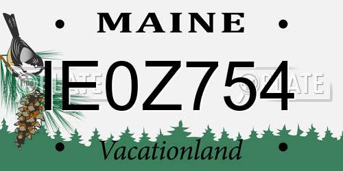 IE0Z754 Maine License Plate
