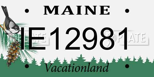 IE12981 Maine License Plate