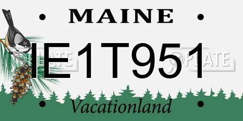IE1T951 Maine License Plate