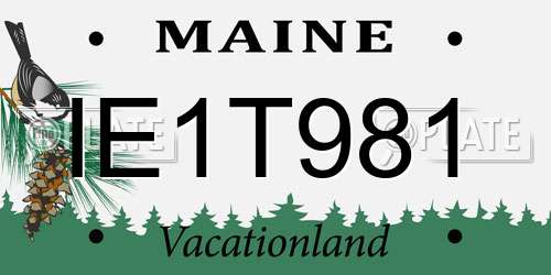 IE1T981 Maine License Plate