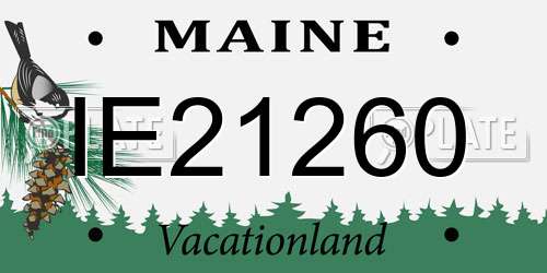 IE21260 Maine License Plate