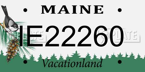 IE22260 Maine License Plate