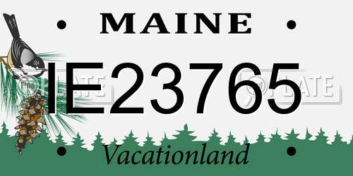 IE23765 Maine License Plate