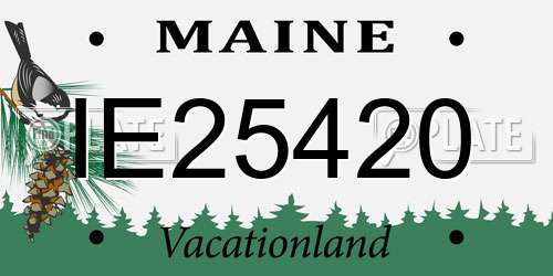 IE25420 Maine License Plate