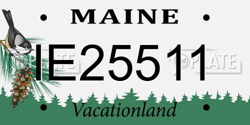IE25511 Maine License Plate