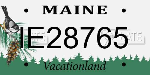 IE28765 Maine License Plate
