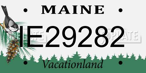 IE29282 Maine License Plate