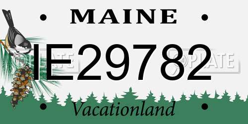 IE29782 Maine License Plate