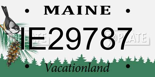 IE29787 Maine License Plate