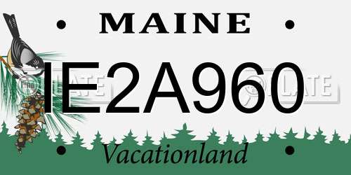 IE2A960 Maine License Plate