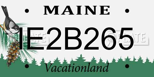 IE2B265 Maine License Plate