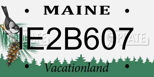 IE2B607 Maine License Plate